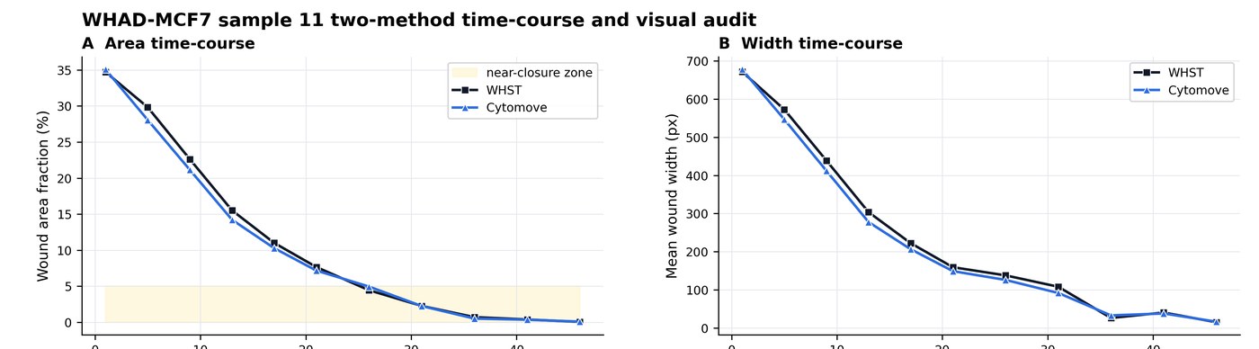 Area and width time-course agreement cropped from Figure 6 panels A and B